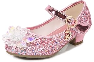 Eleasica Fille Cristal Fleur Chaussures de Princesse Reine des Neiges Elsa Anna Talons Plats Paillettes Déguisement Argenté Bleu Rose Doux Halloween Noël Anniversaire Carnaval Cosplay