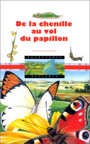 couverture de : De la chenille au vol du papillon