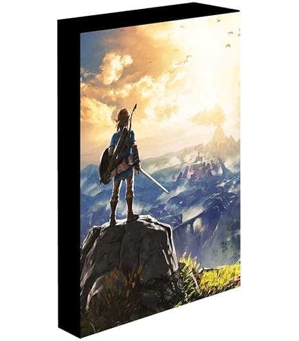 Zelda Tears Of The Kingdom France - Trouvez Le Meilleur Prix Sur
