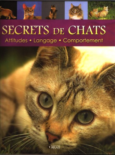 couverture de : Secrets de chats