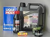 Quad ATV Inspektion Ölwechsel