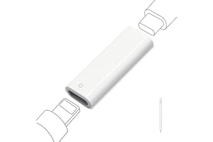 LUIRSAY Convertisseur Bluetooth USB-C, adaptateur Lightning pour iPad 11 10e génération, Apple Pencil 1
