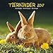 Tierkinder 2017: Broschürenkalender mit Ferienterminen by 