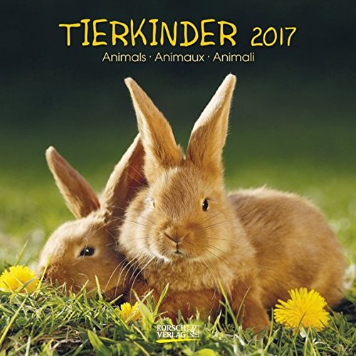 Tierkinder 2017: Broschürenkalender mit Ferienterminen