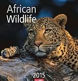 African Wildlife 2015 by 