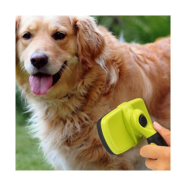 Dogs Pecute Slicker Dog Brushes Self Cleaning Pet Grooming Brush