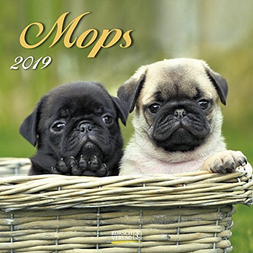 Download Mops 2019. Broschürenkalender: Mit Ferienterminen
