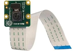Western New York Heritage Institute Raspberry Camera per Raspberry Pi Module v2 (9132664)