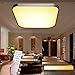 Produktbild Teamyy 24W LED Deckenleuchte Deckenleuchte 45x45cm 3000K-6500K mit Fernbedienung 4 Helle Farbe