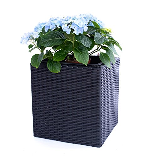 Pflanzkübel Blumenkübel Blumentopf Polyrattan Quadrat LxBxH 50x50x50cm schwarz.
