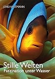 Image de Stille Welten: Faszination unter Wasser