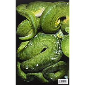 Serpens