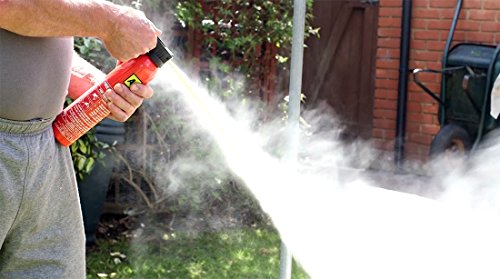AA Fire Extinguisher 950g Bsi App