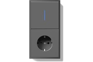 BSEED Interruptor con Enchufe, Interruptor Pulsador con Terminal Enchufable, 1 Gang 2 Vías Light Switch con Indicador Luminoso LED y Marco de PC, Switch con Toma Gris, 150X80mm
