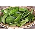 Soursop Fresh Dry Leaves (500 Leaves)- Health Suppliment dry leaf