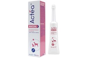 Anidev - Actéa Buccal - Gel Apaisant Gencive Chien Et Chat - Produit Naturel - Mauvaise Haleine Chien Chat - 15ml