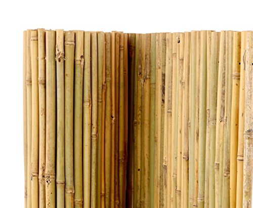 Bambus Matte Bali, extrem stabil, 200 x 300 cm, mit Draht durchbohrt und verbunden - 4