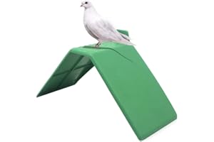 USMATO 10 pièces Support de Support de Repos de Pigeon, Repose de Pigeon, Cadre pour Gril, Ensemble de Support de Pigeon perchoirs de Pigeon de Maison Accessoires de Fournitures d'oiseaux de perchoir