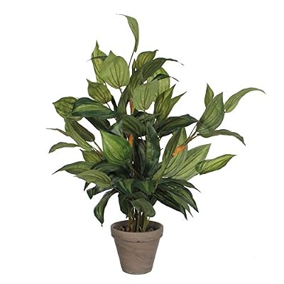 MICA Decorations 933262 de hosta dans Stan Pot, Polyester, Vert, 40 x 40 x 65 cm