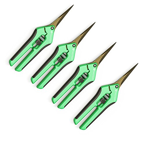 4 Pack Titanium Coated Professional Straight Tip Trimming Scissors for Gardening and Hydroponics by