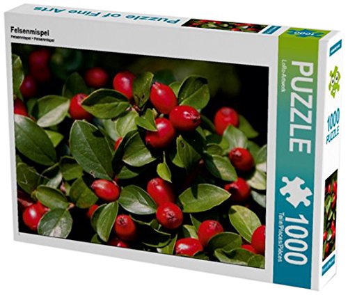 Preisvergleich Produktbild Felsenmispel 1000 Teile Puzzle quer (CALVENDO Natur)