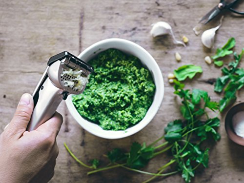 Dreamfarm Garject selbstreinigende Knoblauchpresse, Fire Truck scharz - 7