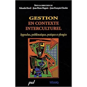 Gestion en contexte interculturel : Approches, problématiques, pratiques et plongées (1Cédérom)