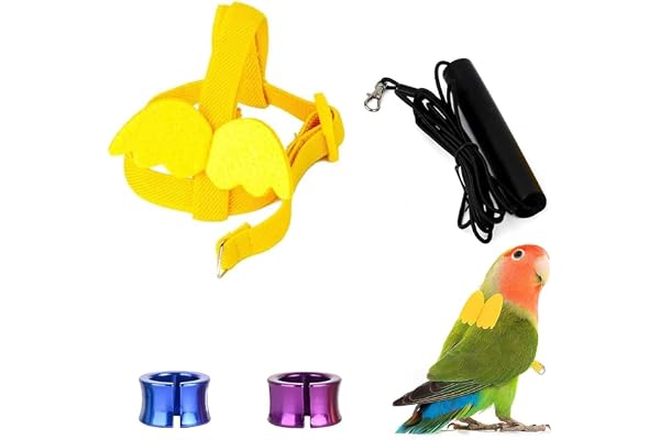 Harnais et Laisse pour Perroquet, Harnais Réglable pour Oiseaux, Corde D'entraînement de Perroquet Réglable, Animal Domestique Corde Anti-Morsure Sangle Élastique, Laisse pour Calopsitte, Cacatoès