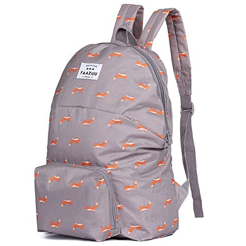 aristocrat hike polyester 45l