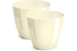 PECZEKO Macetas Brillantes Macetas Decorativas Hierbas Macetas Redondas de plástico duraderas y Ligeras para salón, Comedor, Cocina, terraza, balcón Juego de 2 Piezas (cremoso, diámetro 12 cm)
