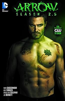 DC Comics Arrow Season 2.5