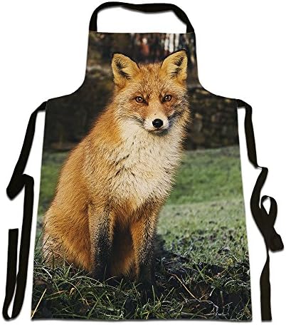 Fox, Photographic Image, Great Quality Canvas Apron, Size 25in x 35in approximately