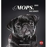 Mops Postkartenkalender 2022 - Tierkalender mit perforierten Postkarten - zum Aufstellen und Aufhängen - mit Monatskalendariu