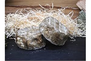 SEGMINISMART Tomette de vache