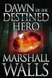 Image de Dawn of the Destined Hero (English Edition)