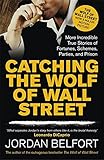 Catching the Wolf of Wall Street: More Incredible True Stories of Fortunes, Schemes, Parties, and Prison by 