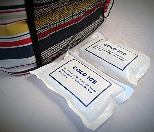 Ice Max Große Picknick Kühltasche Kühlbox Picknick Tasche- 28 Liter - 4