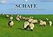 Produktbild Schafe. Friedliche Rasentrimmer und Einschlafhilfen (Wandkalender 2017 DIN A3 quer): Nützliche Wollknäuel und Bereicherung der Landschaften (Geburtstagskalender, 14 Seiten) (CALVENDO Tiere)