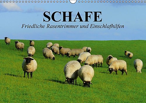 Preisvergleich Produktbild Schafe. Friedliche Rasentrimmer und Einschlafhilfen (Wandkalender 2017 DIN A3 quer): Nützliche Wollknäuel und Bereicherung der Landschaften (Geburtstagskalender, 14 Seiten) (CALVENDO Tiere)