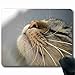 Produktbild Funny Design Mauspad Animal 22 x 17,8 cm Katze mit Unterstützung Wired Kabellos oder Bluetooth-Maus und Gaming Maus mp005587