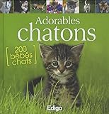Adorables chatons