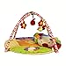 Produktbild CBJ Caterpillar Baby-Gym 3 in 1 Babyspielmatte Caterpillar Lay & Play Fitness-Fitnessmatte mit 5 Spielzeugen, BB-Echolot, Rining-Glocke, Sicherheitsspiegel,ARainbowworm