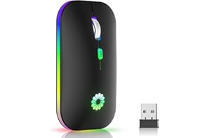 KARFUN Kabellose Maus Wiederaufladbar,2.4 GHz 1000–1600 DPI Verstellbar,LED ipad USB C Maus für Mac OS/Windows/Andriod/PC/Laptop/Computer,Ergonomisch Wireless Mouse (schwarz)