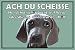Produktbild Hundeschilder Hunde Schild Schilder -16- ACH DU SCHEISSE 29,5cm * 20cm * 2mm, ohne Befestigung