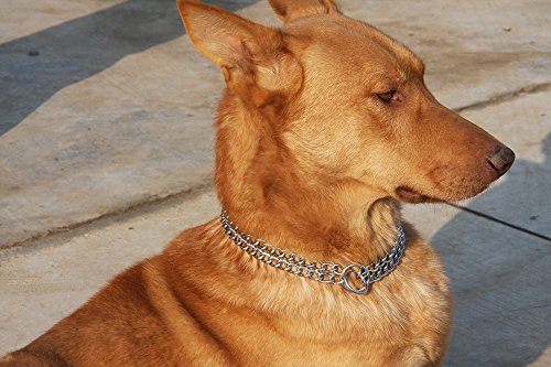 Moonpet-Stainless-Steel-P-Choke-Metal-Chain-Training-Dog-Pet-Collars-2-Row-Chrome-Adjustable-Collar