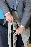 Gordon Ellis Springbok Walking Stick Handle