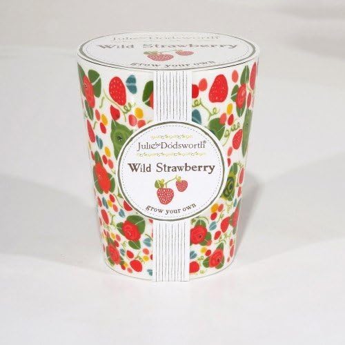 Grow Your Own Garden Wild Strawberry