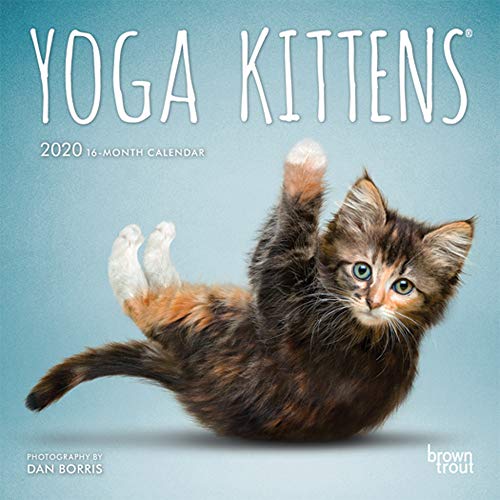 Télécharger Yoga Kittens 2020 Calendar Francais PDF