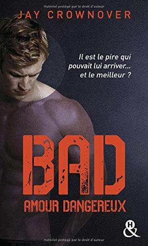 Livres gratuits à télécharger sur mon iPod Bad - T2 Amour dangereux PDF 2280377071 by author