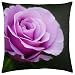Produktbild wanshangcheng Schöne lila Rose - Wurfkissenbezug 20 x 20 Zoll / 50 von 50 cm